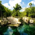 Casa TORTUGA 🐢 TOUR de Dia - Imagen 4