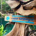 Casa TORTUGA 🐢 TOUR de Dia - Imagen 2