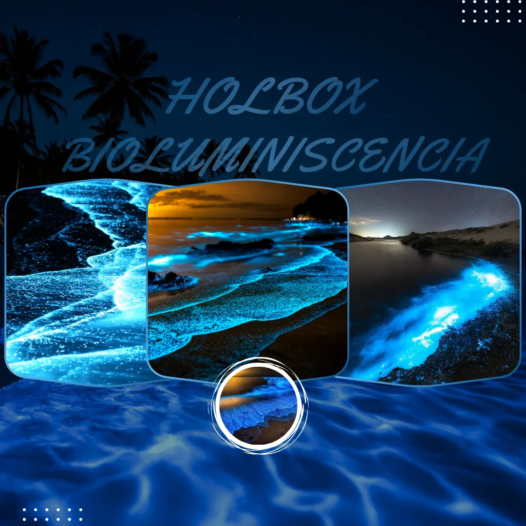 6 Holbox Bioluminiscencia Tour COMPLETO - Imagen 1