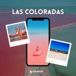 Las COLORADAS y Rio Lagartos Tour de Dia