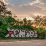 Entrada Xenses - Imagen 4