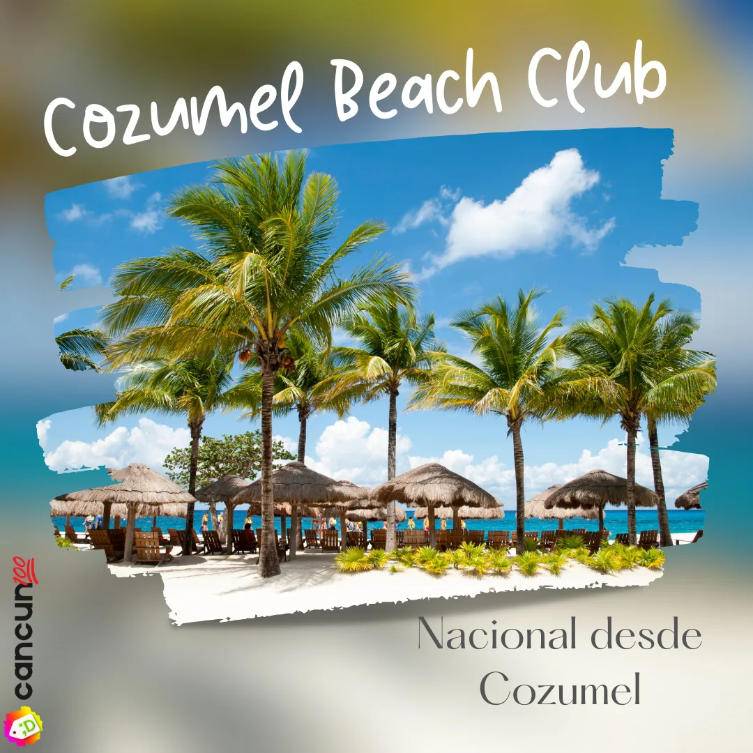 71 Cozumel Beach Club Nacional con Snorkel Palancar - Imagen 1