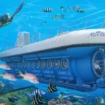Submarino Atlantis - saliendo desde Cancun con Transporte - Imagen 4