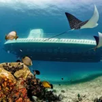 Submarino Atlantis - saliendo desde Cancun con Transporte - Imagen 2