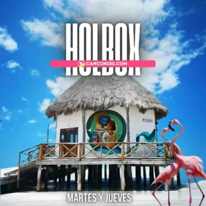 Dos flamencos rosados en la playa junto a una cabaña caribeña tradicional con un mural artístico en Isla Holbox.