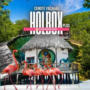 Varios flamencos rosados en primer plano junto a una cabaña con mural artístico y un cenote rodeado de manglares en Holbox.