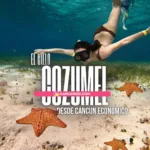 Tour económico a El Cielo Cozumel desde Cancún con snorkel y estrellas de mar - Cancun100