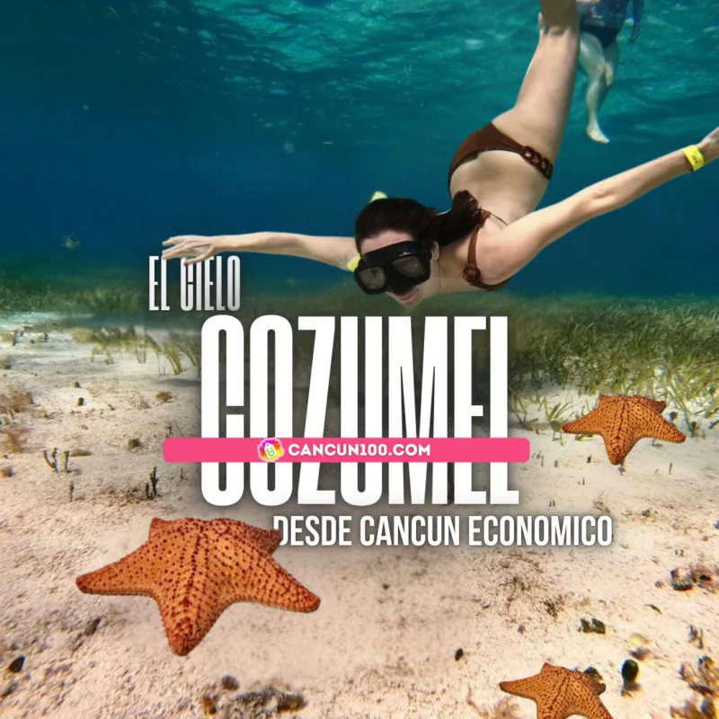 Tour económico a El Cielo Cozumel desde Cancún con snorkel y estrellas de mar - Cancun100