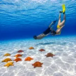 El Cielo Cozumel en Catamarán y KUZA Park | Cancun 100 - Imagen 4