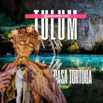 Copiar y pegar: Tour a Tulum y cenotes de Casa Tortuga con pareja en la escultura Madre Naturaleza - Cancun100