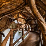 Tour Parque Jaguar Tulum y Zona Arqueológica | Cancun 100 - Imagen 4
