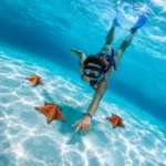 Cozumel All-Inclusive VIP Beach Club Tour | Cancun 100 - Image 2