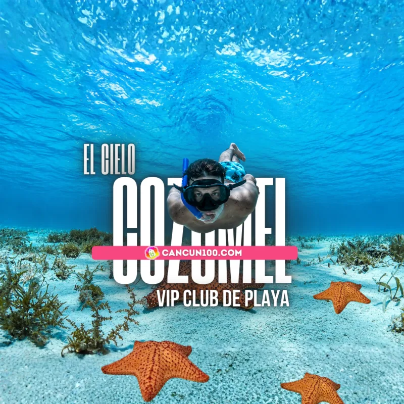 Tour de snorkel en El Cielo Cozumel con acceso a Club de Playa VIP - Cancun100