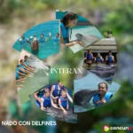 INTERAX Nado con Delfines + Parque Xelha (basico)