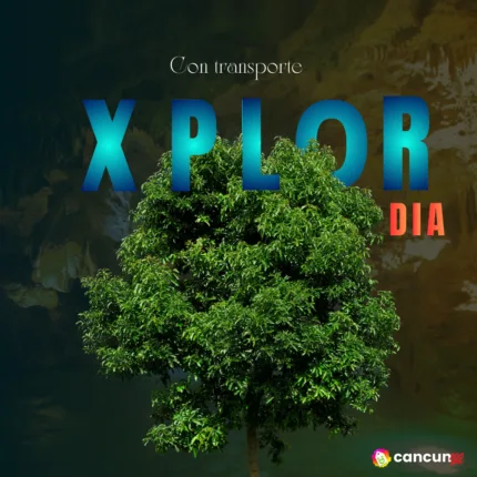 Xplor DIA Tour con Transporte