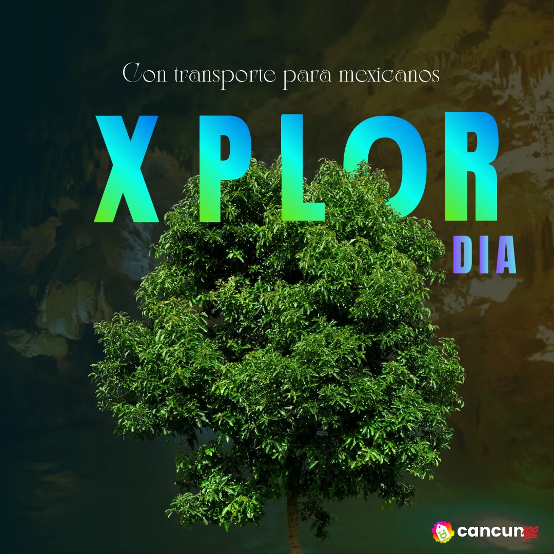 MERARYPortadas c100 2026 Xplor DIA TOUR con Transporte para Mexicanos🇲🇽 - Imagen 1