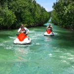 WAVERUNNER MANGROVE - Imagen 2