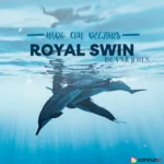 Royal Swim Nado con Delfines ISLA MUJERES - Avanzado