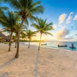 Tour Akumal Nado con Tortugas + Cenote Nohoch | Cancun 100 - Imagen 4