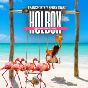 Holbox Budget Tour Transport & Ferry Daily | Cancun 100