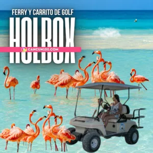 Turistas manejando un carrito de golf en la playa junto a un grupo de flamencos rosados en las aguas turquesas de Isla Holbox.