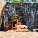 Xenses TOUR con Transporte - Imagen 4