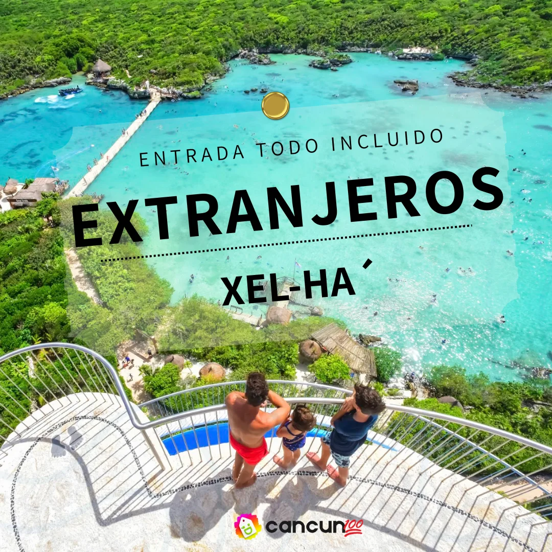 michelle(1) Entrada Xel-Há Todo Incluido para Extranjeros - Imagen 1