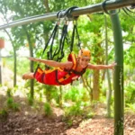 Xenses TOUR con Transporte - Imagen 3