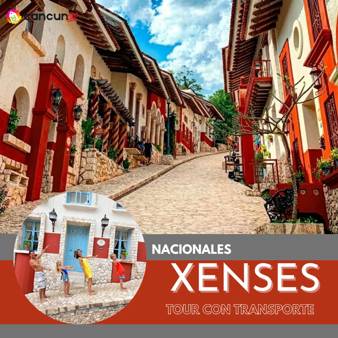 michelle(4) Xenses TOUR con Transporte nacional🇲🇽 - Imagen 1